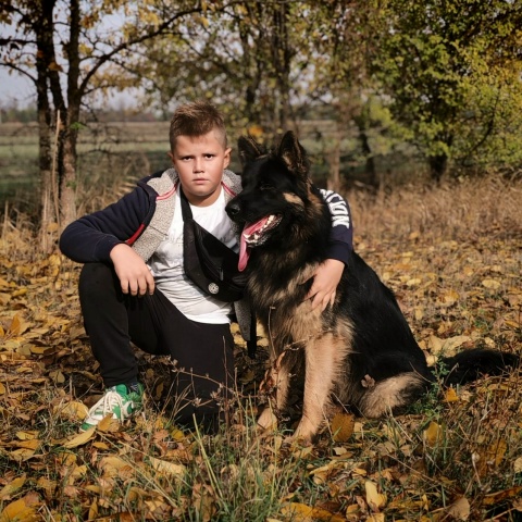 Богомаз Иван